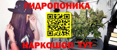 mix Бийск