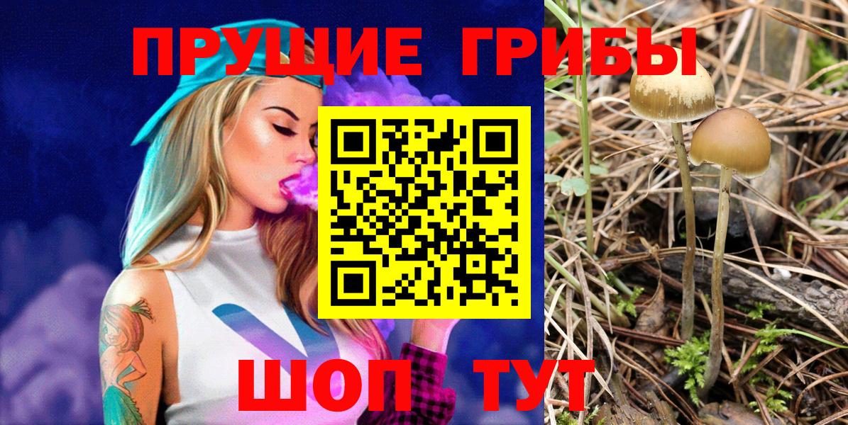 Псилоцибиновые грибы мухоморы  как найти закладки  Зеленокумск  Вход с VPN 