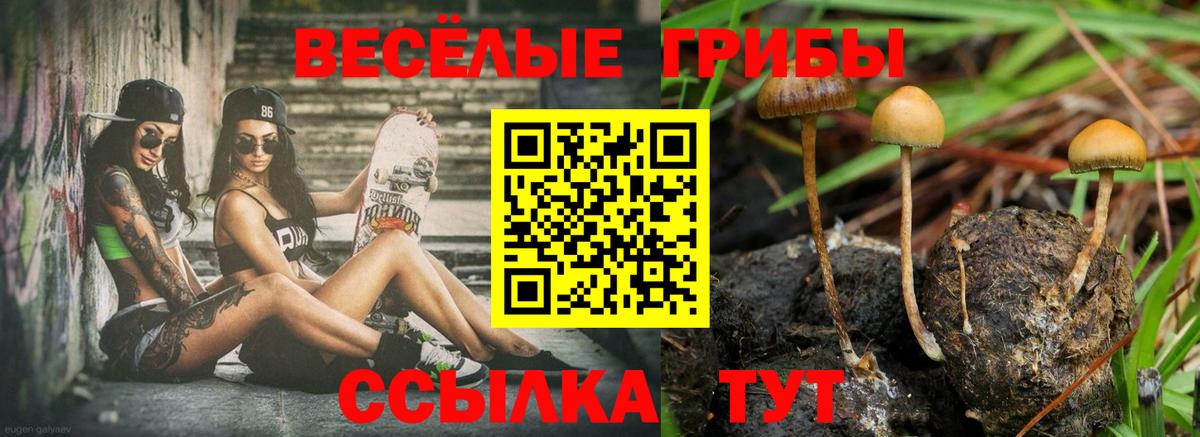 Псилоцибиновые грибы Cubensis Зеленокумск
